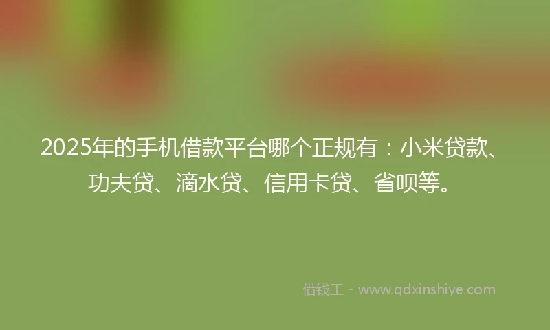 2025年的手机借款平台哪个正规有：小米贷款、功夫贷、滴水贷、信用卡贷、省呗等。
