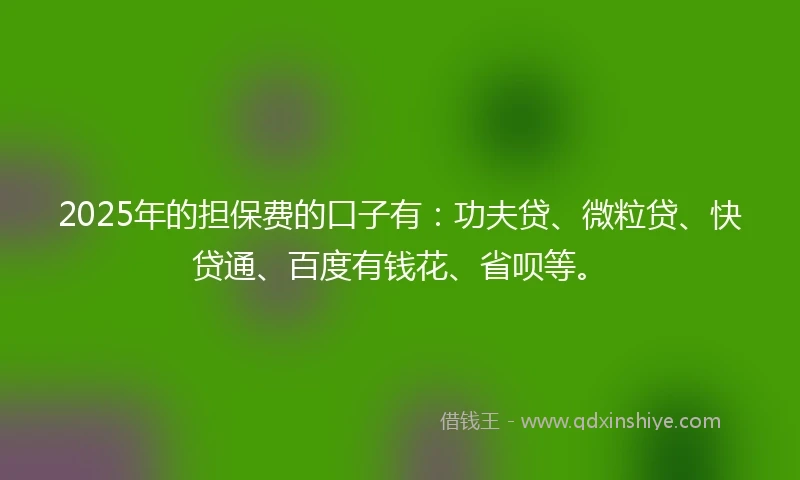 2025年的担保费的口子有：功夫贷、微粒贷、快贷通、百度有钱花、省呗等。