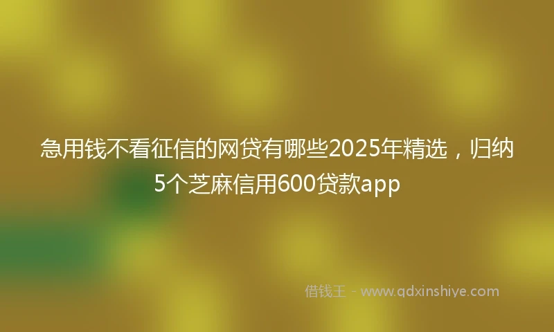 急用钱不看征信的网贷有哪些2025年精选，归纳5个芝麻信用600贷款app