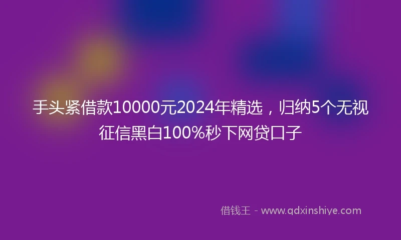 手头紧借款10000元2024年精选，归纳5个无视征信黑白100%秒下网贷口子
