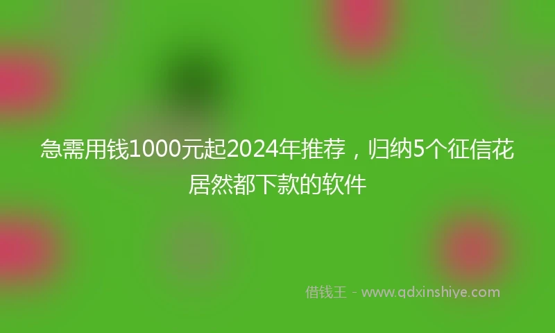 急需用钱1000元起2024年推荐，归纳5个征信花居然都下款的软件