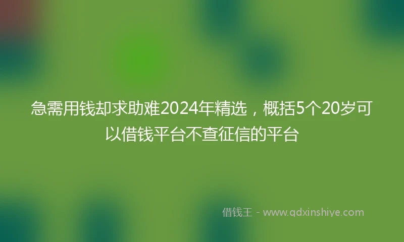 急需用钱却求助难2024年精选，概括5个20岁可以借钱平台不查征信的平台