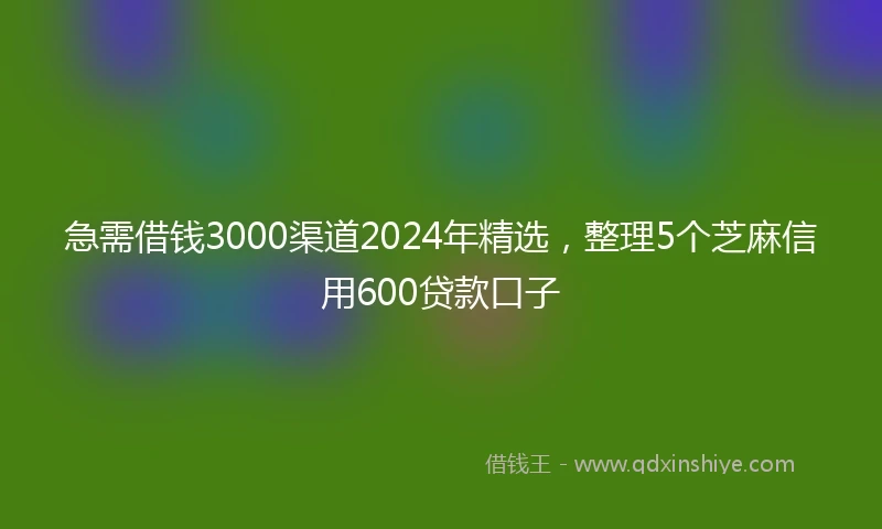 急需借钱3000渠道2024年精选，整理5个芝麻信用600贷款口子