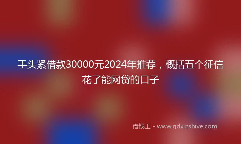 手头紧借款30000元2024年推荐，概括五个征信花了能网贷的口子