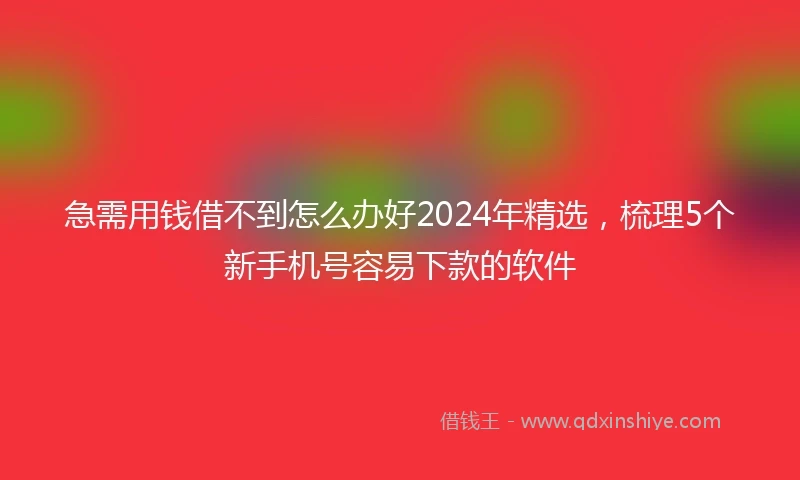急需用钱借不到怎么办好2024年精选，梳理5个新手机号容易下款的软件