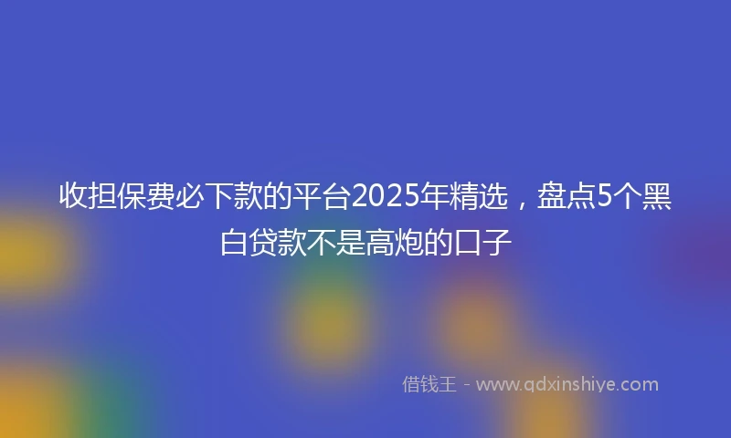 收担保费必下款的平台2025年精选，盘点5个黑白贷款不是高炮的口子