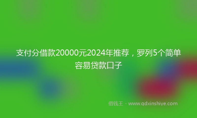 支付分借款20000元2024年推荐，罗列5个简单容易贷款口子