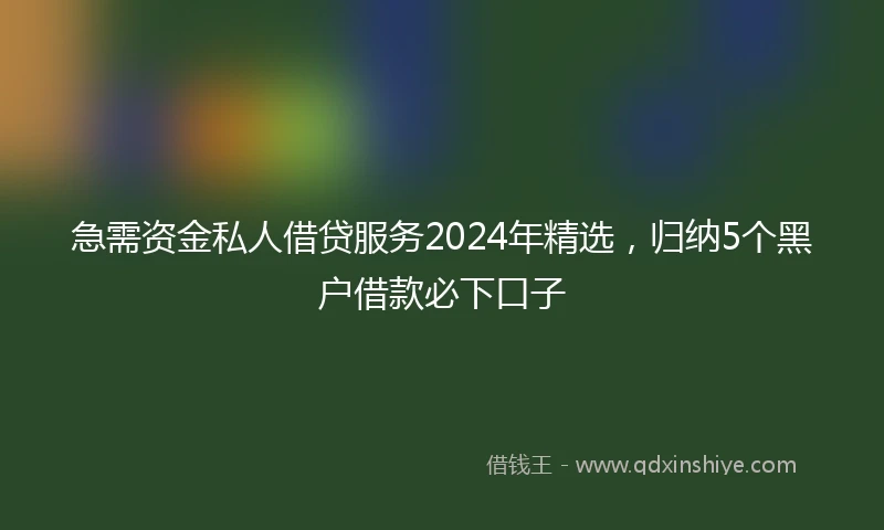 急需资金私人借贷服务2024年精选，归纳5个黑户借款必下口子
