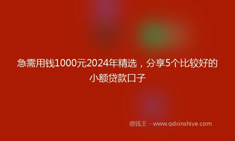 急需用钱1000元2024年精选，分享5个比较好的小额贷款口子