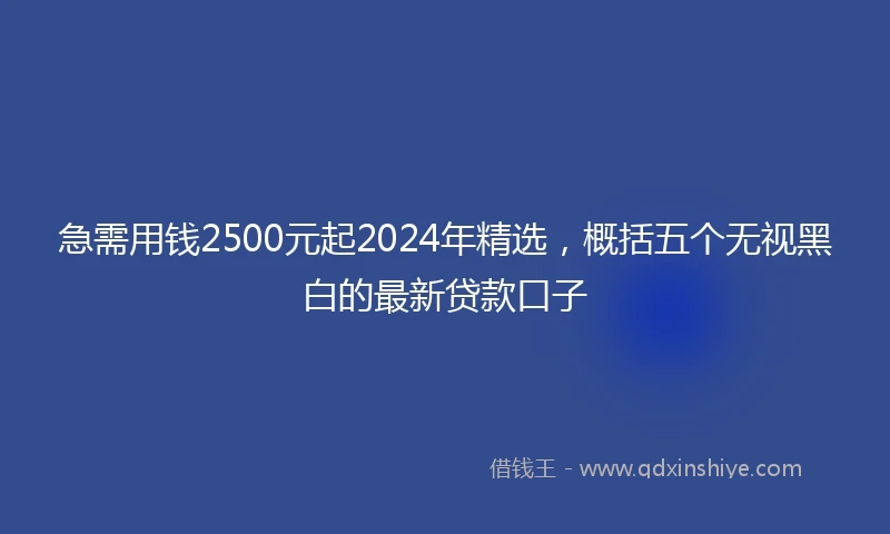 急需用钱2500元起2024年精选，概括五个无视黑白的最新贷款口子