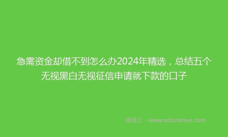 急需资金却借不到怎么办2024年精选，总结五个无视黑白无视征信申请就下款的口子