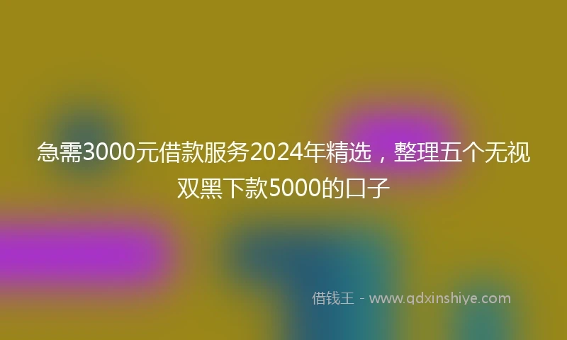 急需3000元借款服务2024年精选，整理五个无视双黑下款5000的口子