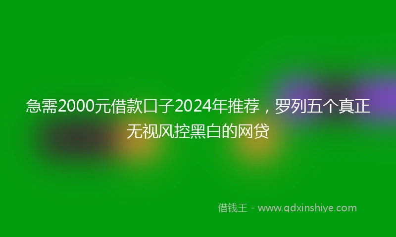 急需2000元借款口子2024年推荐，罗列五个真正无视风控黑白的网贷