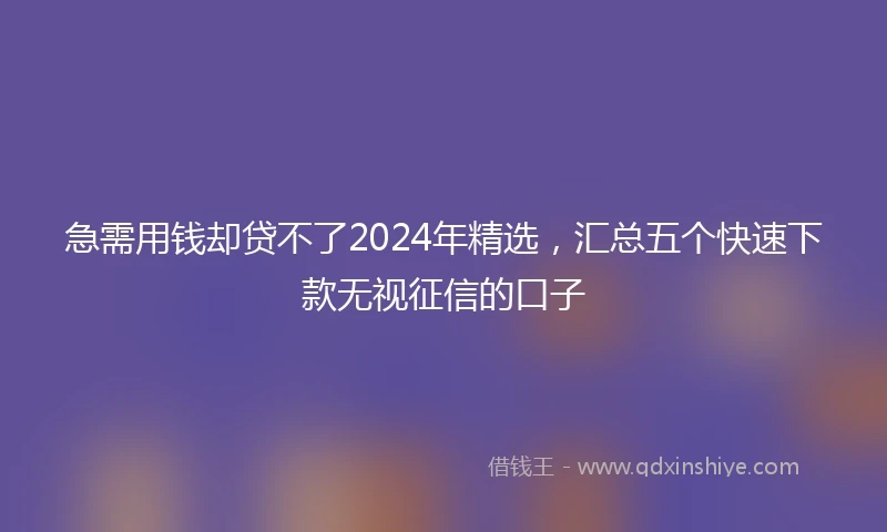 急需用钱却贷不了2024年精选，汇总五个快速下款无视征信的口子