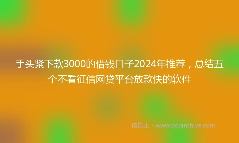 手头紧下款3000的借钱口子2024年推荐，总结五个不看征信网贷平台放款快的软件