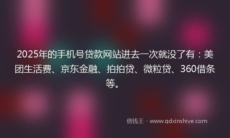 2025年的手机号贷款网站进去一次就没了有：美团生活费、京东金融、拍拍贷、微粒贷、360借条等。