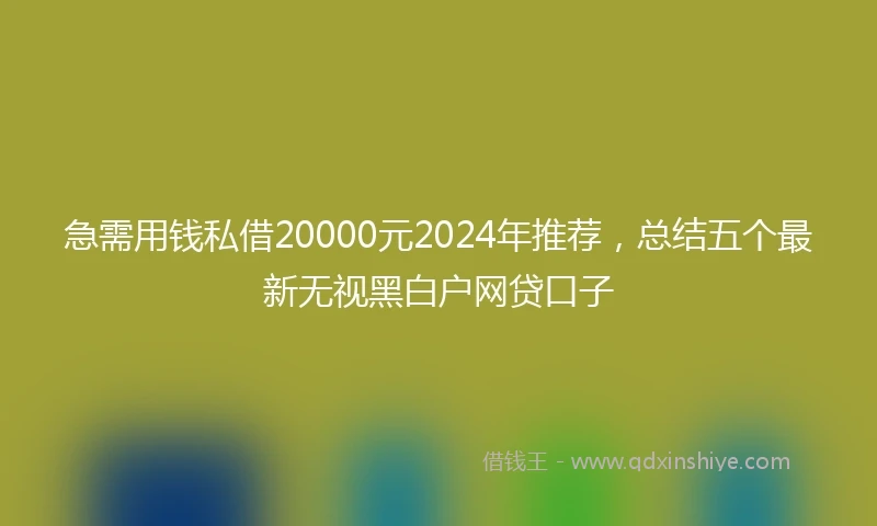 急需用钱私借20000元2024年推荐，总结五个最新无视黑白户网贷口子
