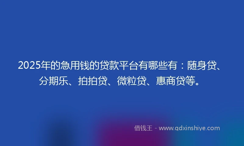 2025年的急用钱的贷款平台有哪些有：随身贷、分期乐、拍拍贷、微粒贷、惠商贷等。