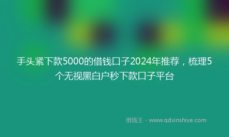 手头紧下款5000的借钱口子2024年推荐，梳理5个无视黑白户秒下款口子平台