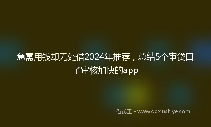 急需用钱却无处借2024年推荐，总结5个审贷口子审核加快的app