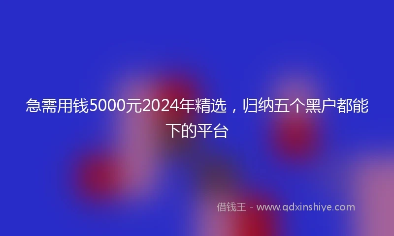 急需用钱5000元2024年精选，归纳五个黑户都能下的平台