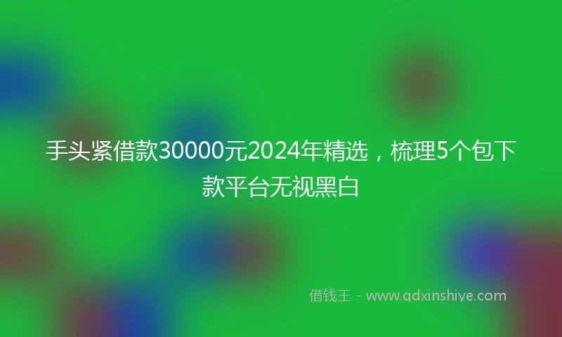 手头紧借款30000元2024年精选，梳理5个包下款平台无视黑白