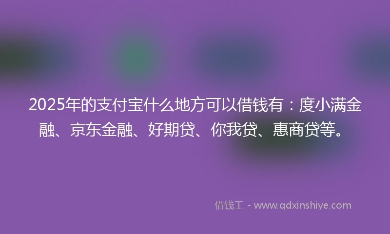 2025年的支付宝什么地方可以借钱有：度小满金融、京东金融、好期贷、你我贷、惠商贷等。