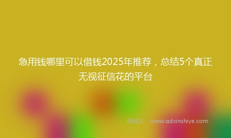 急用钱哪里可以借钱2025年推荐，总结5个真正无视征信花的平台