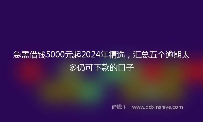 急需借钱5000元起2024年精选，汇总五个逾期太多仍可下款的口子