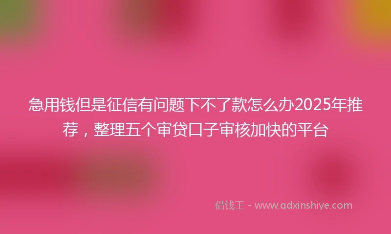 急用钱但是征信有问题下不了款怎么办2025年推荐，整理五个审贷口子审核加快的平台