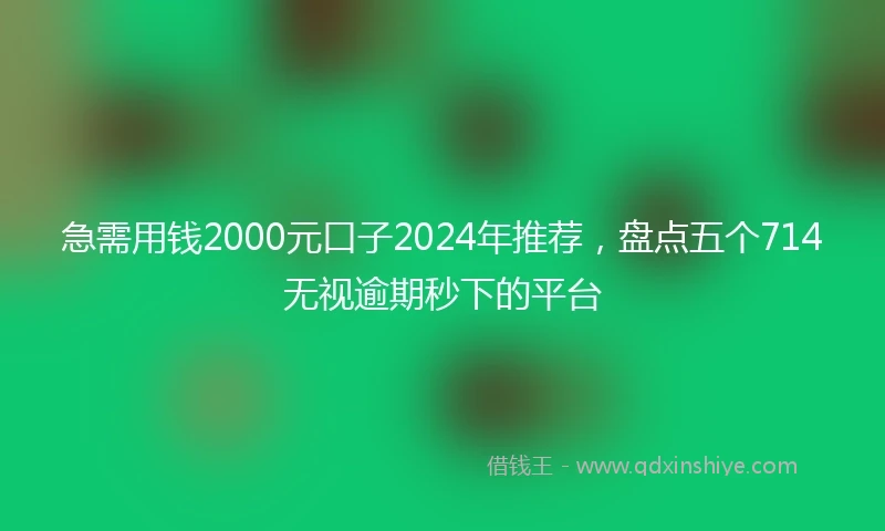 急需用钱2000元口子2024年推荐，盘点五个714无视逾期秒下的平台