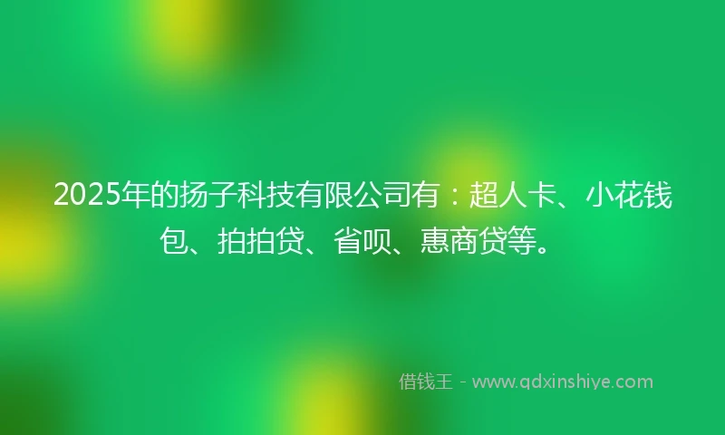 2025年的扬子科技有限公司有：超人卡、小花钱包、拍拍贷、省呗、惠商贷等。