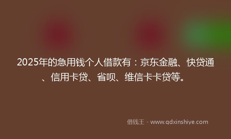2025年的急用钱个人借款有：京东金融、快贷通、信用卡贷、省呗、维信卡卡贷等。