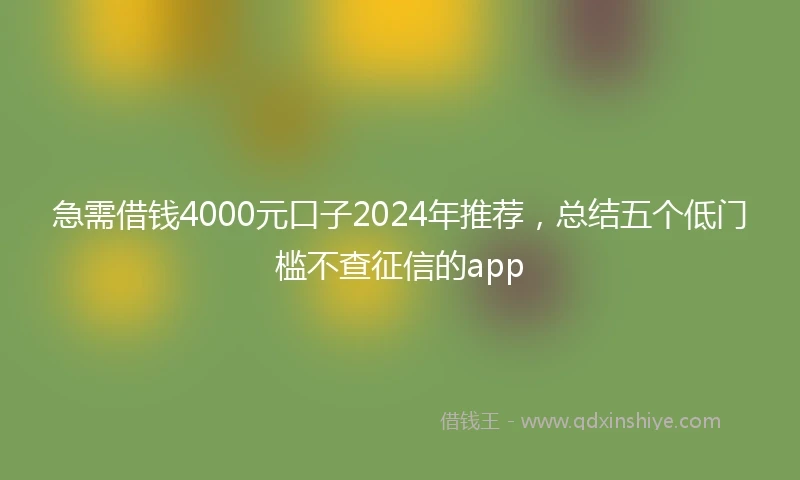 急需借钱4000元口子2024年推荐，总结五个低门槛不查征信的app
