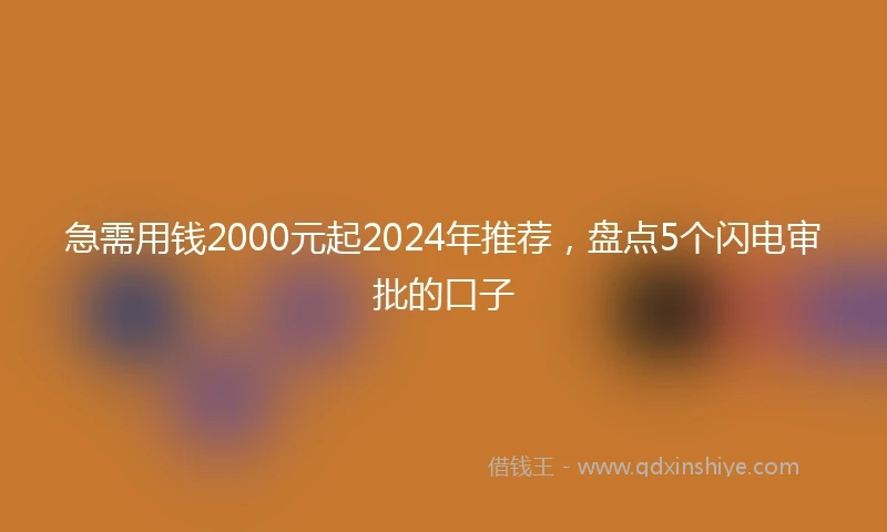 急需用钱2000元起2024年推荐，盘点5个闪电审批的口子