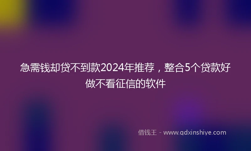 急需钱却贷不到款2024年推荐，整合5个贷款好做不看征信的软件