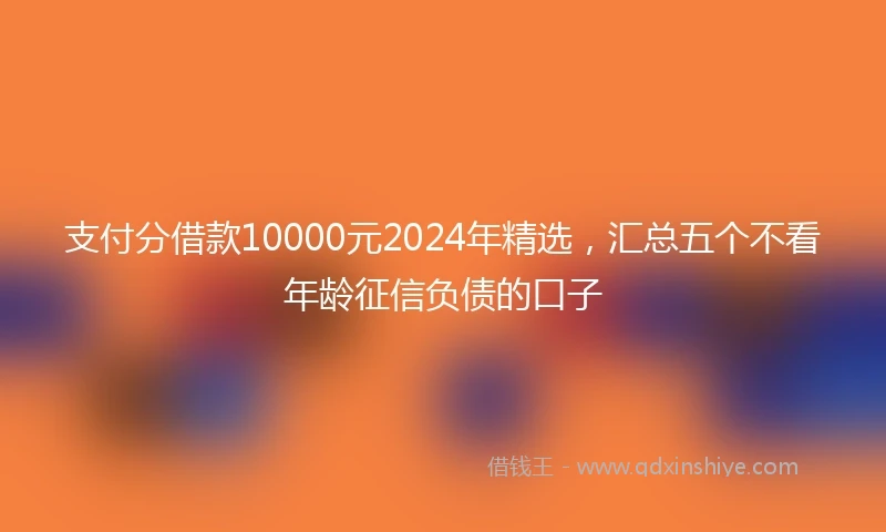 支付分借款10000元2024年精选，汇总五个不看年龄征信负债的口子