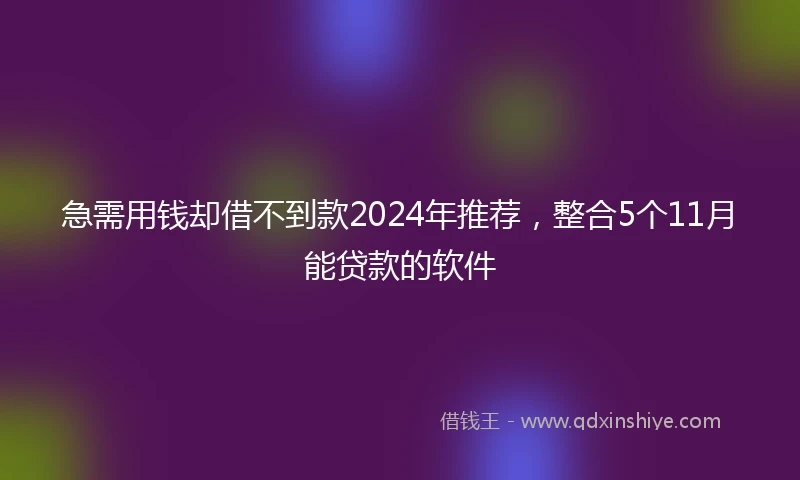 急需用钱却借不到款2024年推荐，整合5个11月能贷款的软件
