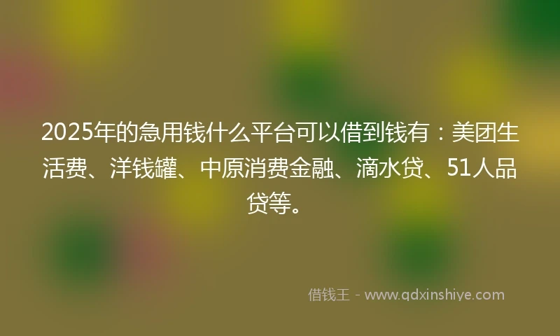 2025年的急用钱什么平台可以借到钱有：美团生活费、洋钱罐、中原消费金融、滴水贷、51人品贷等。