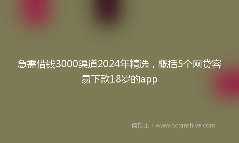急需借钱3000渠道2024年精选，概括5个网贷容易下款18岁的app