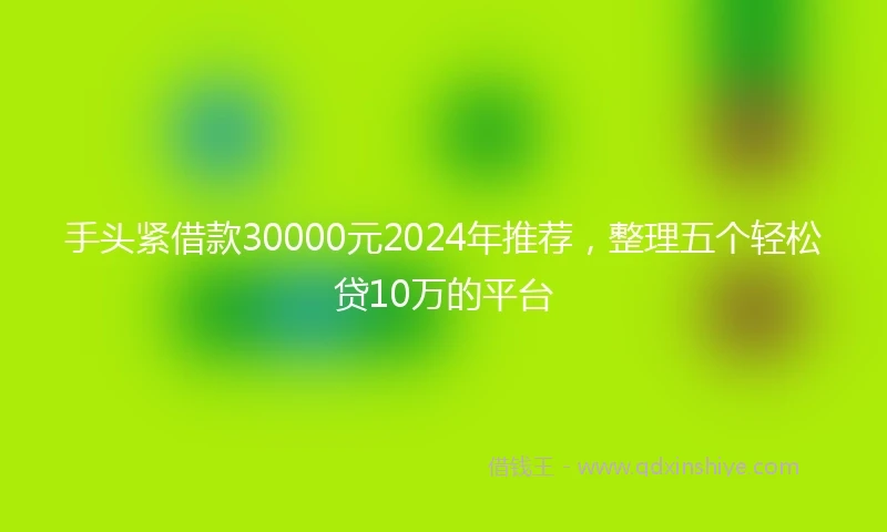 手头紧借款30000元2024年推荐，整理五个轻松贷10万的平台