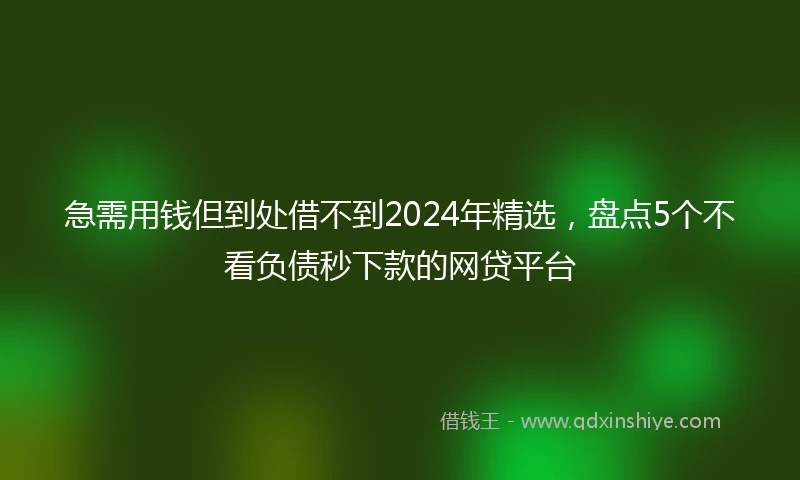 急需用钱但到处借不到2024年精选，盘点5个不看负债秒下款的网贷平台