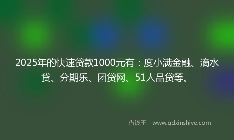 2025年的快速贷款1000元有：度小满金融、滴水贷、分期乐、团贷网、51人品贷等。