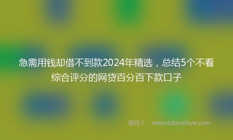 急需用钱却借不到款2024年精选，总结5个不看综合评分的网贷百分百下款口子