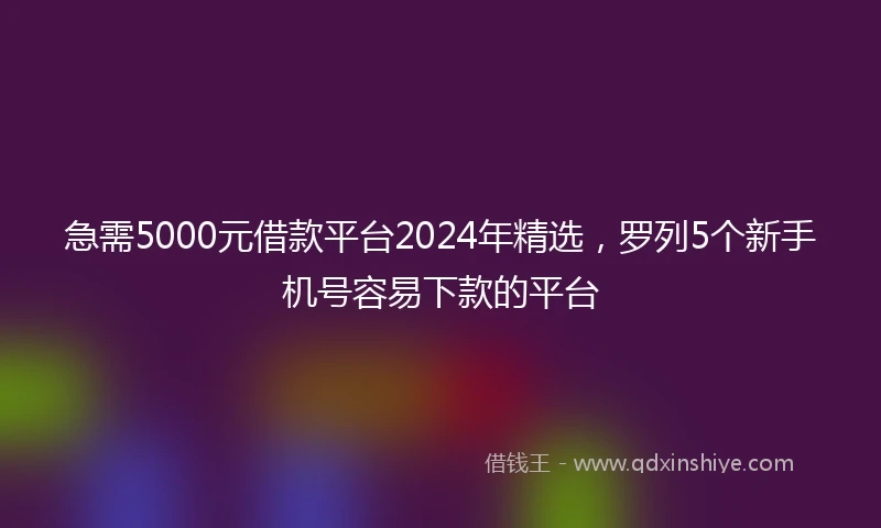 急需5000元借款平台2024年精选，罗列5个新手机号容易下款的平台