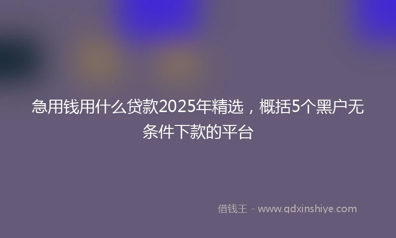 急用钱用什么贷款2025年精选，概括5个黑户无条件下款的平台