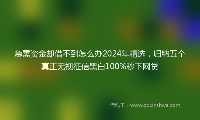 急需资金却借不到怎么办2024年精选，归纳五个真正无视征信黑白100%秒下网贷