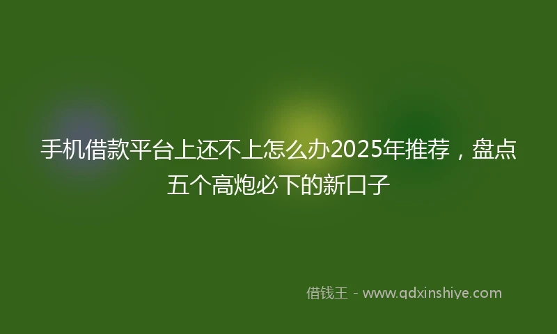 手机借款平台上还不上怎么办2025年推荐,盘点五个高炮必下的新口子