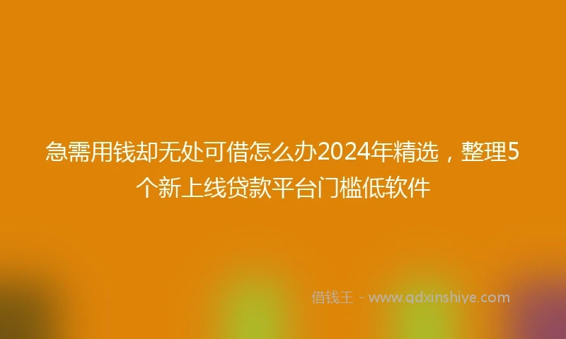 急需用钱却无处可借怎么办2024年精选，整理5个新上线贷款平台门槛低软件