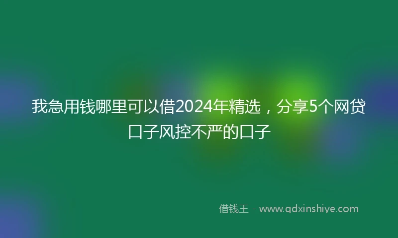 我急用钱哪里可以借2024年精选，分享5个网贷口子风控不严的口子